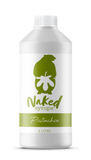 1L Naked Syrups Pistachio Dessert Sauce (GF & VF)